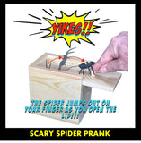 Prank Scare Spider